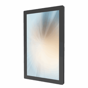 MicroTouch DS-320P-A2 31.5-Inch Digital Signage Touch Display