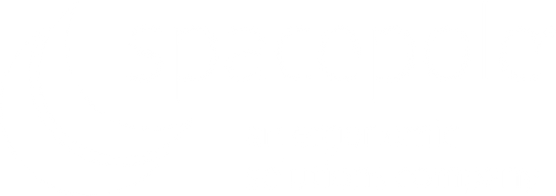 SpacePole logo — temporary image for SPDS2115-02