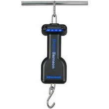 Salter Brecknell ES-22 ElectroSamson Digital Hanging Scales, 22 x 0.2 lb - 816965007479