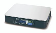 CAS PDN-60 PDN Series 60 lb Capacity RS-232C/USB, NTEP