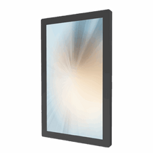 MicroTouch DS-320P-A2 31.5-Inch Digital Signage Touch Display