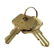 APG PK-8K-A4 APG Replacement Cash Drawer Key Set - Code A4 - 2 Keys