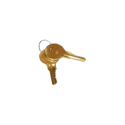 APG Spare Part Series 4000 Or 100 Coded A2 Key Kit 2 Keys (PK-8K-A2)