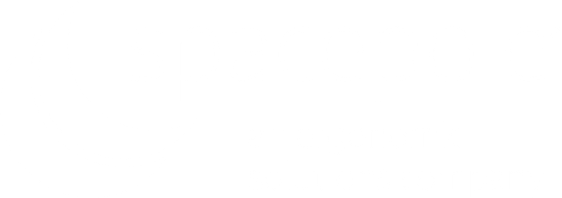 SpacePole logo — temporary image for PAX201-D-MN-02