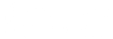 SpacePole logo — temporary image for SPSK513-02