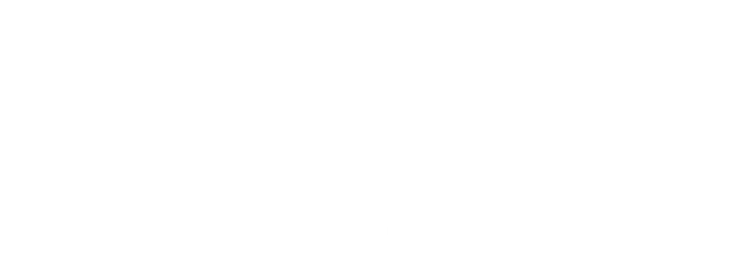 SpacePole logo — temporary image for SPK401-32