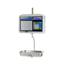 CAS, CL-5500 Series, CL5500H Hanging, 60 lb Capacity w/Wireless Card